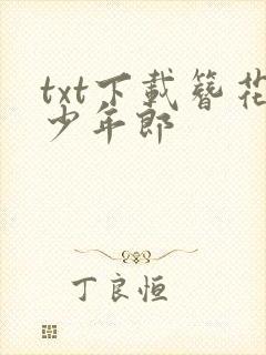 txt下载簪花少年郎