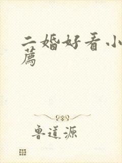 二婚好看小说推荐