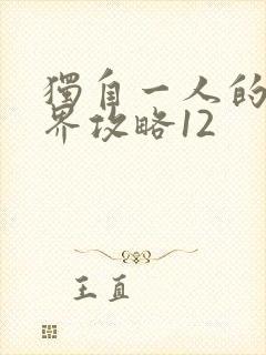 独自一人的异世界攻略12