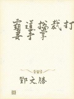 霸道总裁打小娇妻手掌