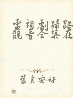 电视剧归路免费观看全集在线播放