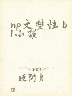 np文双性 bl小说