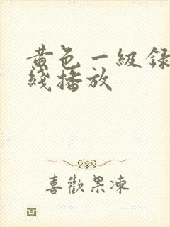 黄色一级录像在线播放