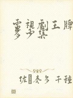 电视剧王牌部队多少集