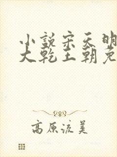 小说宋天明穿越大乾王朝免费阅读