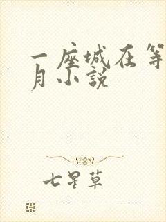 一座城在等你玖月小说