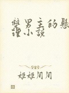 双男主的悬疑推理小说