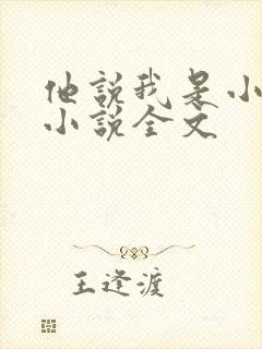 他说我是小妖精小说全文