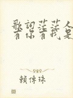 歌词茫茫人海中有你有我是叫什么歌