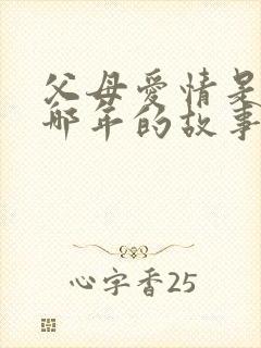 父母爱情是拍的哪年的故事