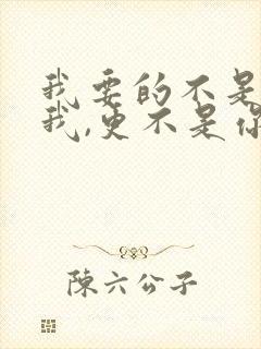 我要的不是你爱我,更不是你恨我是什么歌