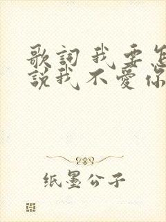 歌词 我要怎么说我不爱你