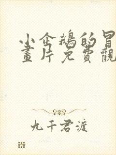 小企鹅的冒险动画片免费观看