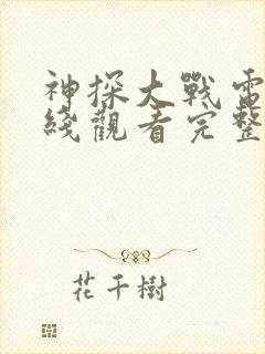 神探大战电影在线观看完整版