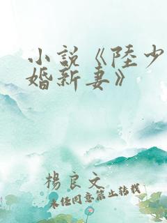 小说《陆少的暖婚新妻》
