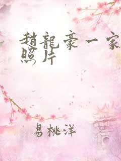 赵龙豪一家三口照片