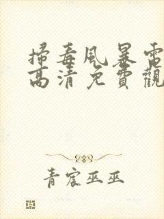 扫毒风暴电视剧高清免费观看全集