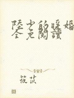 陆少的暖婚新妻全免阅读