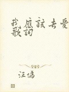 我应该去爱你 歌词