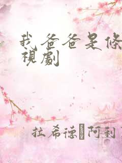 我爸爸是条龙电视剧