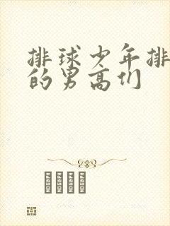 排球少年排球部的男高们