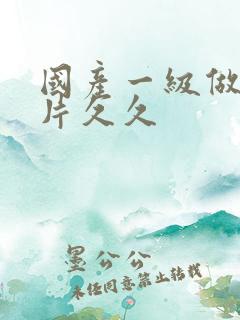 国产一级做a爰片久久