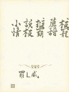 小说推荐校园言情校霸甜宠