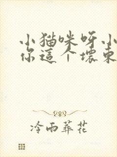 小猫咪呀小猫咪你这个坏东西儿歌