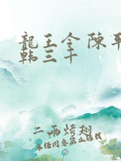 龙王令 陈平 韩三千