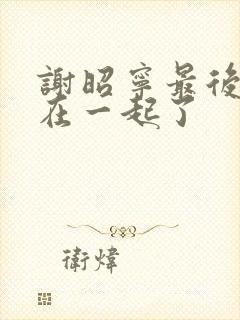 谢昭宁最后和谁在一起了