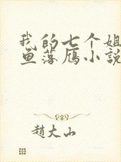 我的七个姐姐沉鱼落雁小说