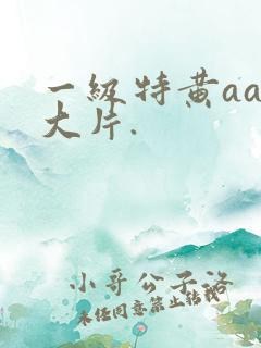 一级特黄aaa大片.