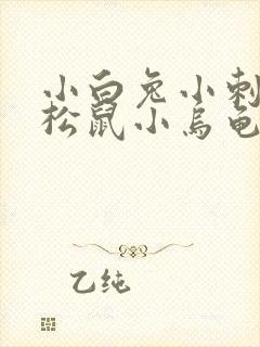 小白兔小刺猬小松鼠小乌龟看图写话