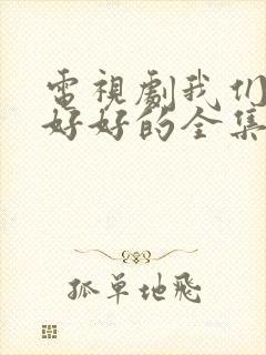 电视剧我们都要好好的全集播放