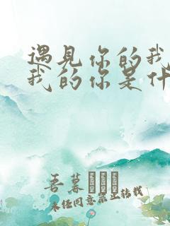 遇见你的我遇见我的你是什么歌