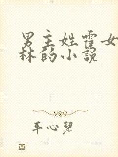 男主姓霍女主姓林的小说