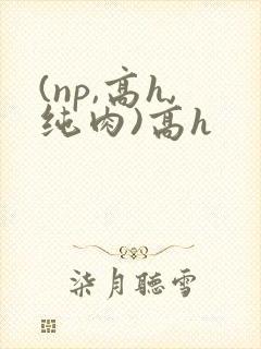 (np,高h,纯肉)高h