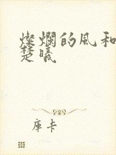 灿烂的风和海钟楚曦