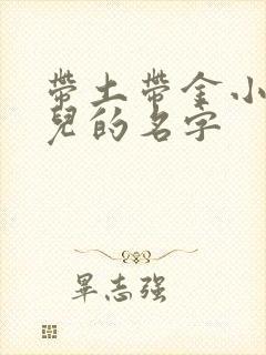 带土带金小男孩儿的名字