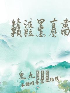 精液里有黄色小颗粒怎么回事