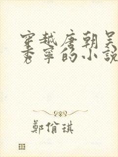 穿越唐朝吴缺李秀宁的小说