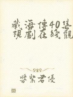 藏海传40集电视剧在线观看