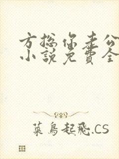 方总你老公没了小说免费全文阅读