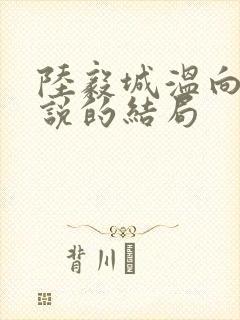 陆毅城温向晚小说的结局