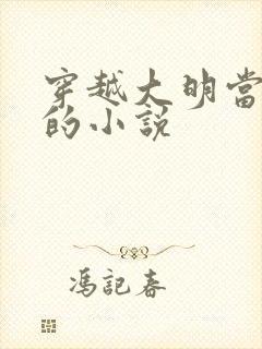 穿越大明当诤臣的小说