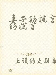 妻子的谎言爱人的谎言