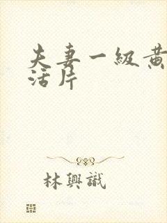 夫妻一级黄色生活片