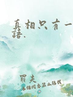 真相只有一个日语.