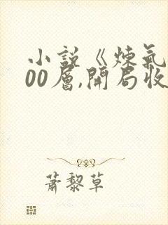 小说《炼气3000层,开局收女帝为徒》