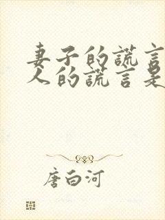 妻子的谎言和爱人的谎言是一个剧吗